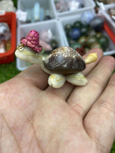 Load image into Gallery viewer, Natural Shell Turtle