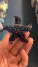 Load image into Gallery viewer, Fluorite seastar
