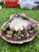 Load image into Gallery viewer, Natural Shell Turtle