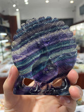 Load image into Gallery viewer, Fluotite peacock