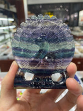 Load image into Gallery viewer, Fluotite peacock