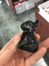 Load image into Gallery viewer, Bull dog