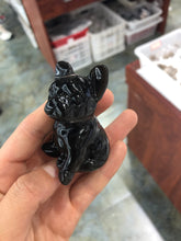 Load image into Gallery viewer, Bull dog