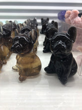 Load image into Gallery viewer, Bull dog