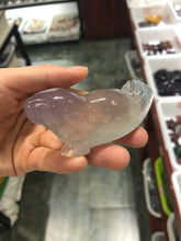 Load image into Gallery viewer, Beaver