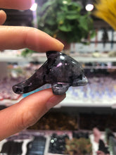 Load image into Gallery viewer, Dolphin