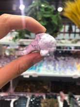 Load image into Gallery viewer, Dolphin