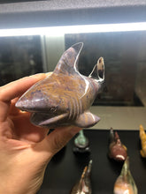 Load image into Gallery viewer, Ocean jasper shark