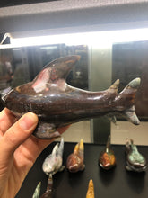 Load image into Gallery viewer, Ocean jasper shark
