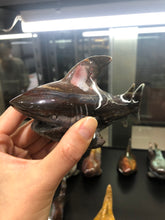 Load image into Gallery viewer, Ocean jasper shark