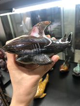 Load image into Gallery viewer, Ocean jasper shark