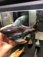 Load image into Gallery viewer, Ocean jasper shark