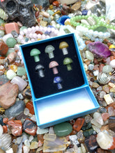 Load image into Gallery viewer, Crystal Minimushroom Box

