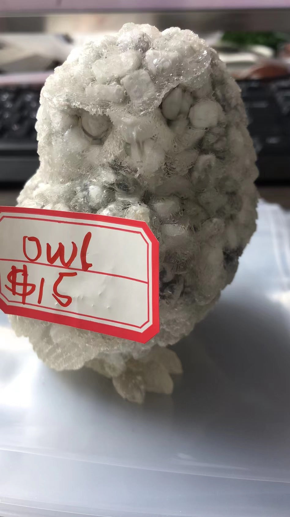 OWL-2022.3.14-CAIISE
