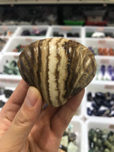 Load image into Gallery viewer, Stone shell
