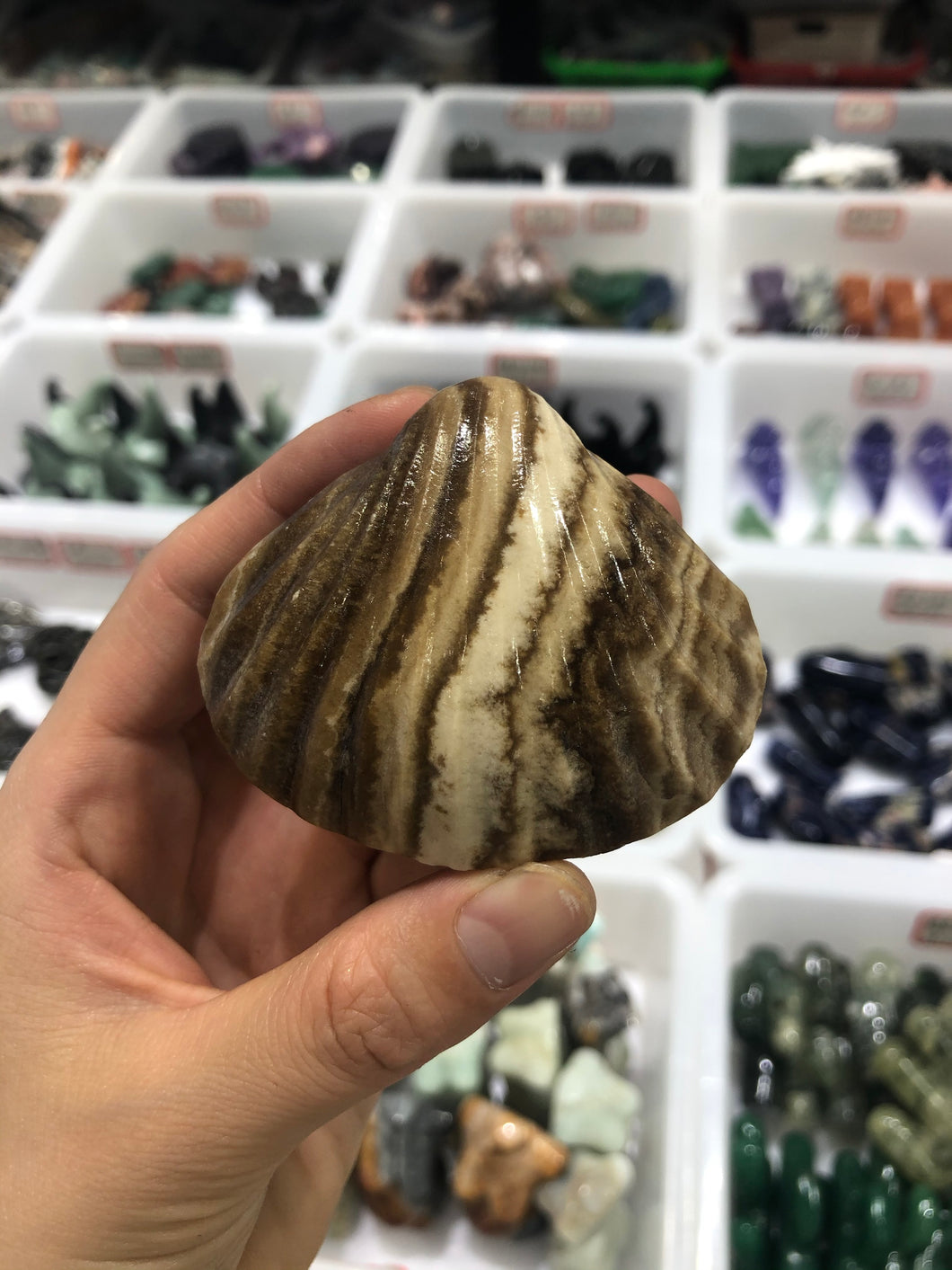 Stone shell